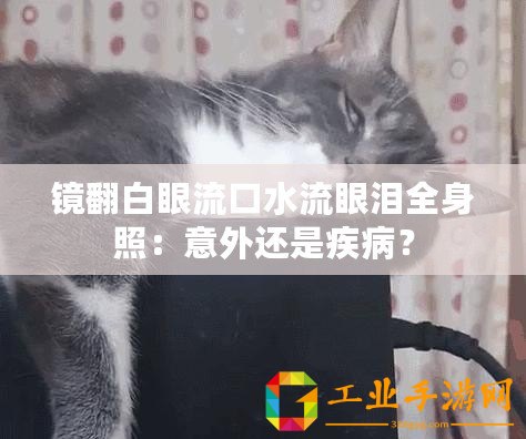 鏡翻白眼流口水流眼淚全身照：意外還是疾?。?/>			</a>
		</figure>
		<div   id=