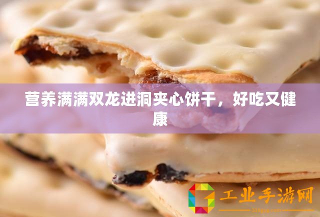 營(yíng)養(yǎng)滿滿雙龍進(jìn)洞夾心餅干，好吃又健康