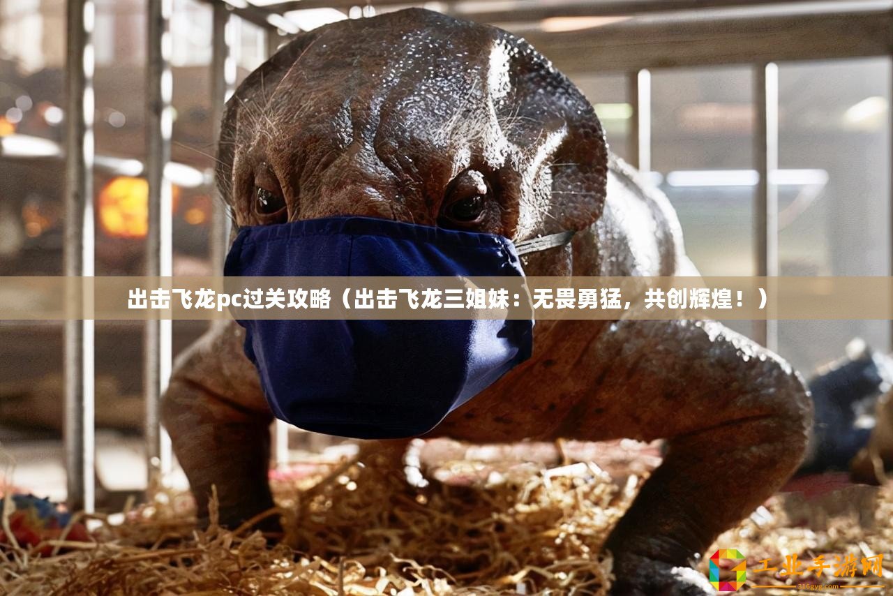 出擊飛龍pc過(guò)關(guān)攻略(出擊飛龍三姐妹:無(wú)畏勇猛,共創(chuàng)輝煌?。? title=