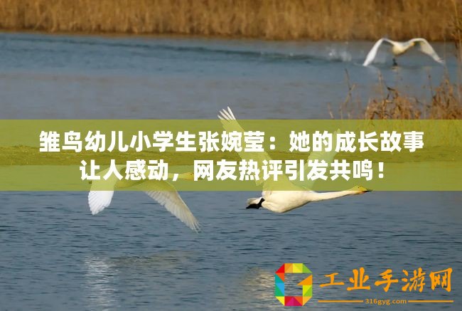 雛鳥幼兒小學(xué)生張婉瑩：她的成長(zhǎng)故事讓人感動(dòng)，網(wǎng)友熱評(píng)引發(fā)共鳴！