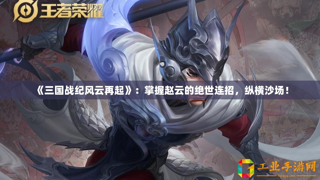 《三國戰(zhàn)紀風云再起》：掌握趙云的絕世連招，縱橫沙場！