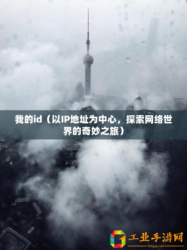 我的id（以IP地址為中心，探索網(wǎng)絡(luò)世界的奇妙之旅）