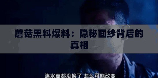 ??麥芬探險家必看解鎖高性價比禮包，氪金不迷路全攻略！??