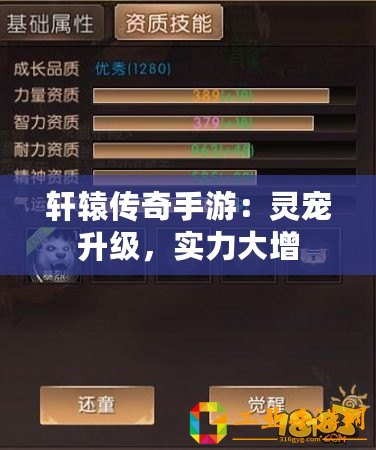 軒轅傳奇手游：靈寵升級，實(shí)力大增