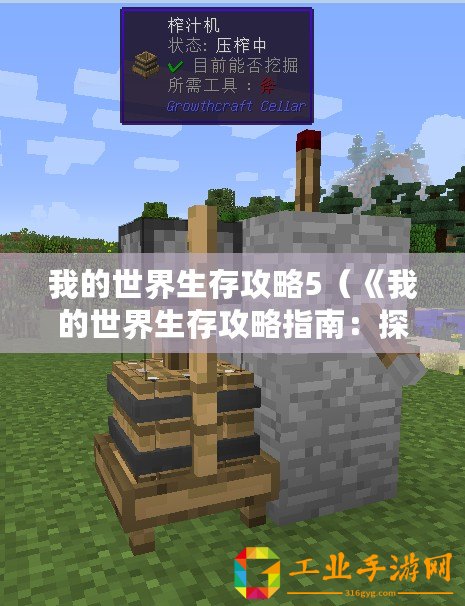 我的世界生存攻略5（《我的世界生存攻略指南：探索無盡可能性，建造夢(mèng)想世界！》）