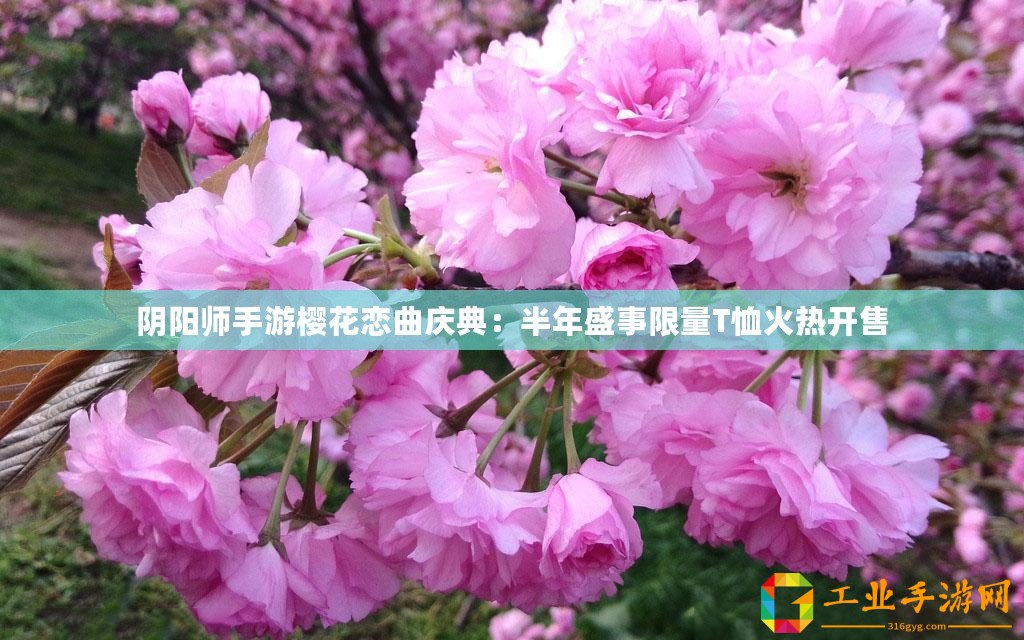 陰陽(yáng)師手游櫻花戀曲慶典：半年盛事限量T恤火熱開(kāi)售