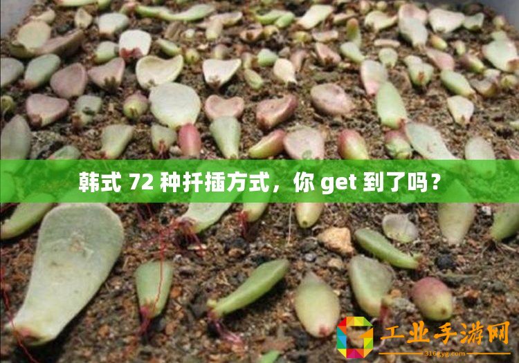 韓式 72 種扦插方式，你 get 到了嗎？