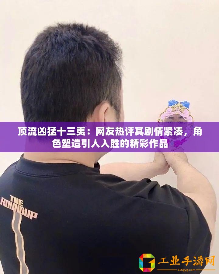 頂流兇猛十三夷：網(wǎng)友熱評其劇情緊湊，角色塑造引人入勝的精彩作品