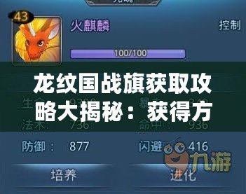龍紋國戰(zhàn)旗獲取攻略大揭秘：獲得方法詳解