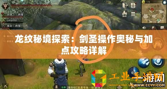 龍紋秘境探索：劍圣操作奧秘與加點(diǎn)攻略詳解