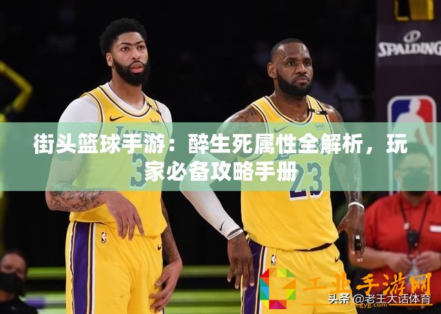 街頭籃球手游：醉生死屬性全解析，玩家必備攻略手冊(cè)