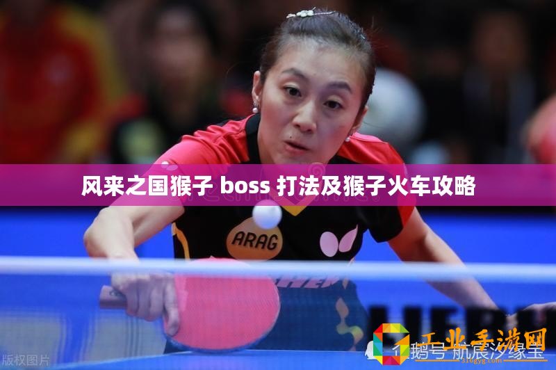 風(fēng)來之國猴子 boss 打法及猴子火車攻略