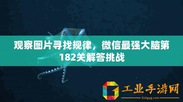 觀察圖片尋找規(guī)律，微信最強(qiáng)大腦第182關(guān)解答挑戰(zhàn)