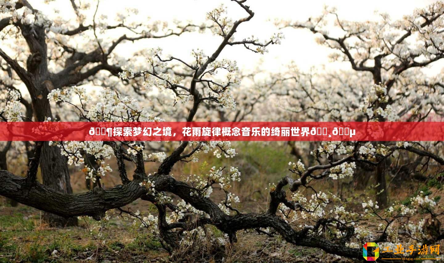 ??探索夢(mèng)幻之境，花雨旋律概念音樂的綺麗世界????