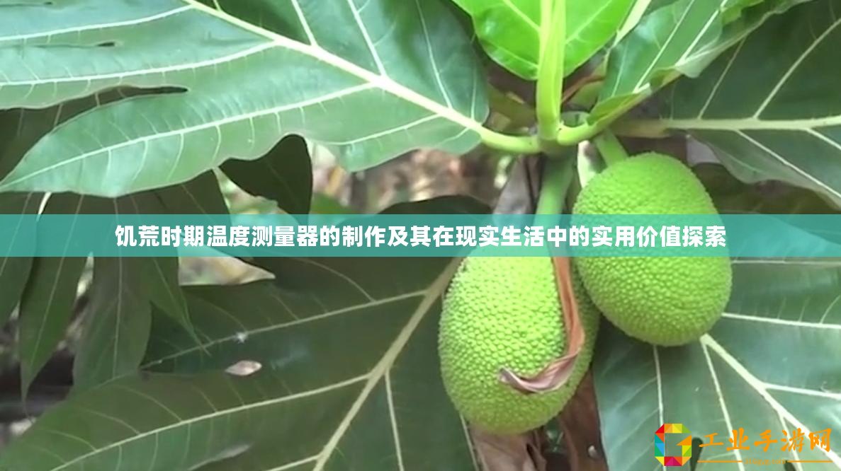 饑荒時期溫度測量器的制作及其在現(xiàn)實(shí)生活中的實(shí)用價值探索