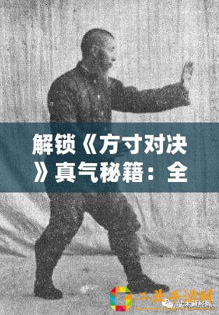 解鎖《方寸對決》真氣秘籍：全面攻略，輕松獲取修行能量！