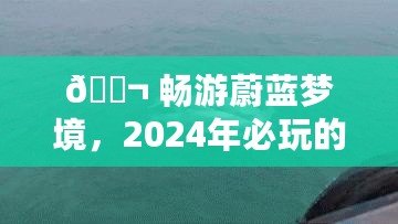 ?? 暢游蔚藍(lán)夢(mèng)境，2024年必玩的海豚游戲合集，耐玩度爆表排行榜 ??