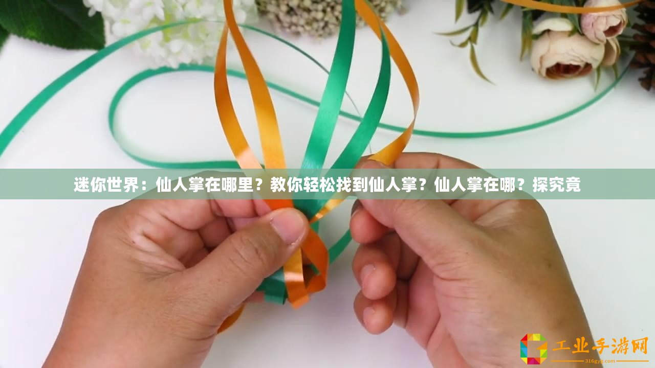 迷你世界：仙人掌在哪里？教你輕松找到仙人掌？仙人掌在哪？探究竟