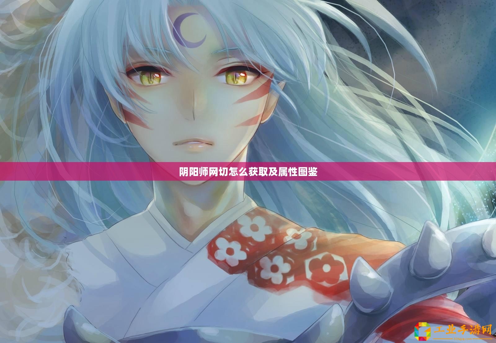 陰陽(yáng)師網(wǎng)切怎么獲取及屬性圖鑒