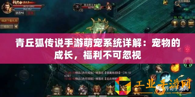 青丘狐傳說手游萌寵系統(tǒng)詳解：寵物的成長，福利不可忽視