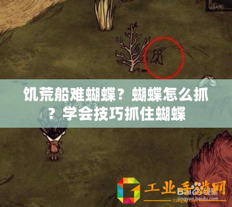 饑荒船難蝴蝶？蝴蝶怎么抓？學會技巧抓住蝴蝶