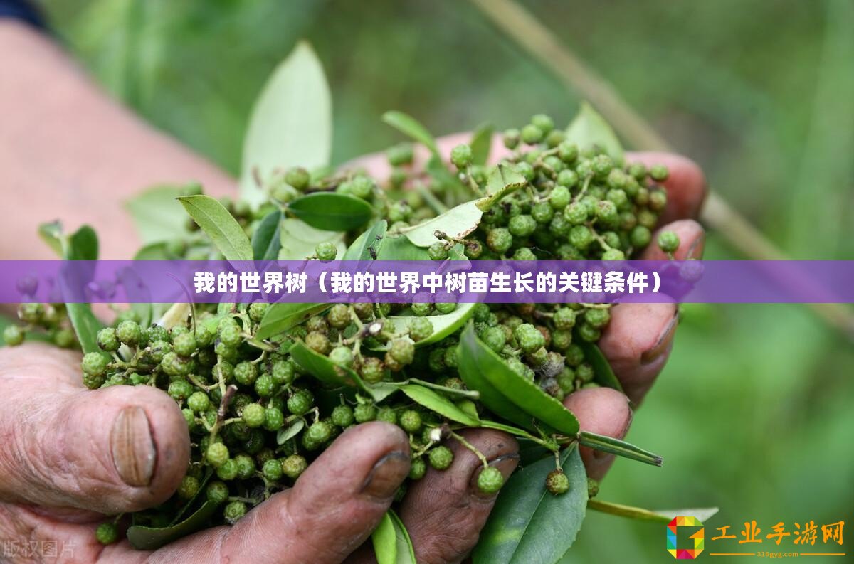 我的世界樹（我的世界中樹苗生長的關(guān)鍵條件）