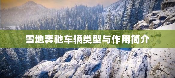 雪地奔馳車輛類型與作用簡(jiǎn)介