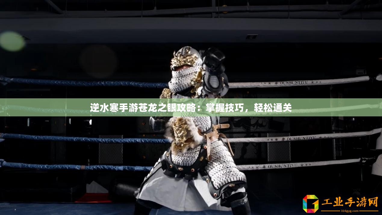 逆水寒手游蒼龍之眼攻略：掌握技巧，輕松通關(guān)