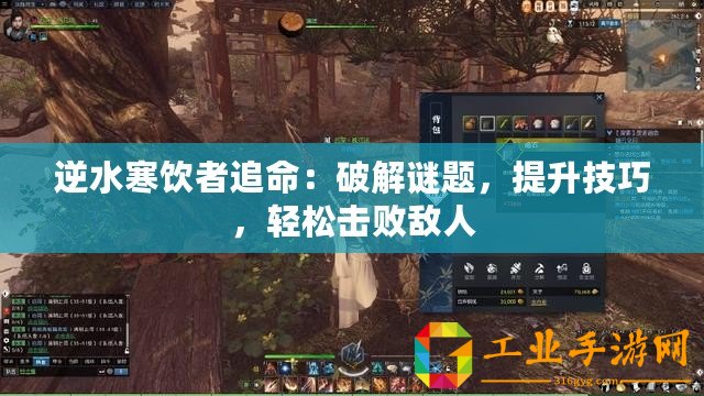逆水寒飲者追命：破解謎題，提升技巧，輕松擊敗敵人