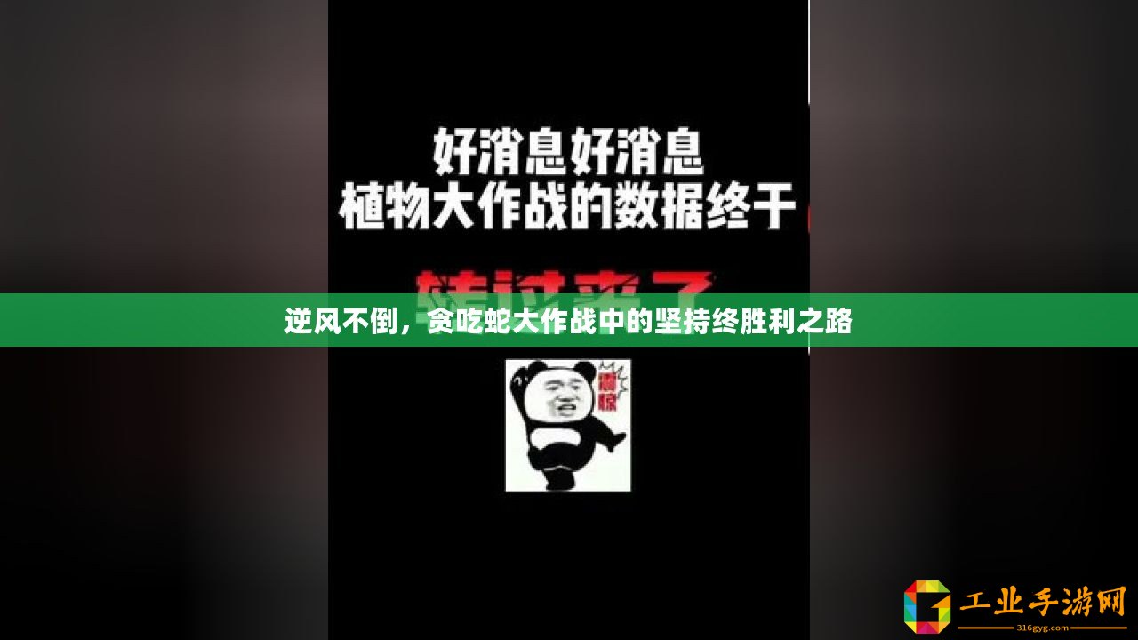 逆風(fēng)不倒，貪吃蛇大作戰(zhàn)中的堅(jiān)持終勝利之路