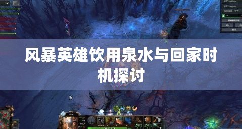 風(fēng)暴英雄飲用泉水與回家時機(jī)探討