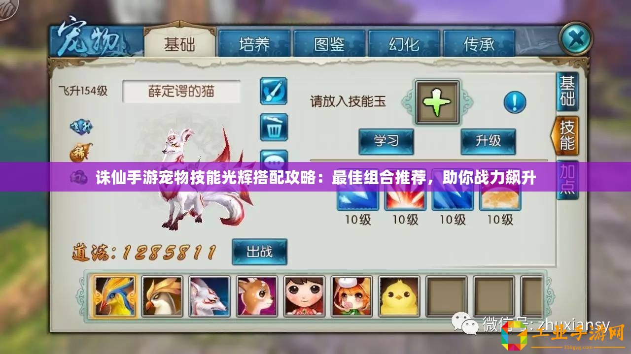 誅仙手游寵物技能光輝搭配攻略：最佳組合推薦，助你戰(zhàn)力飆升