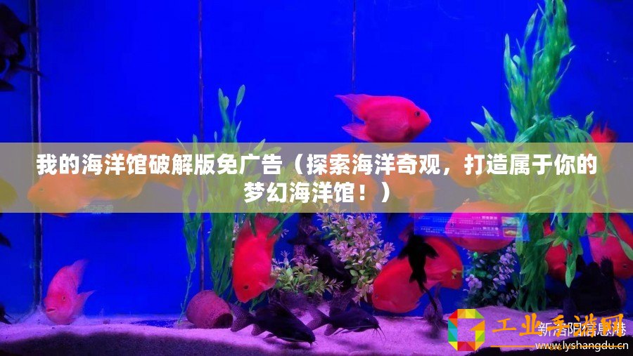 我的海洋館破解版免廣告（探索海洋奇觀，打造屬于你的夢(mèng)幻海洋館！）