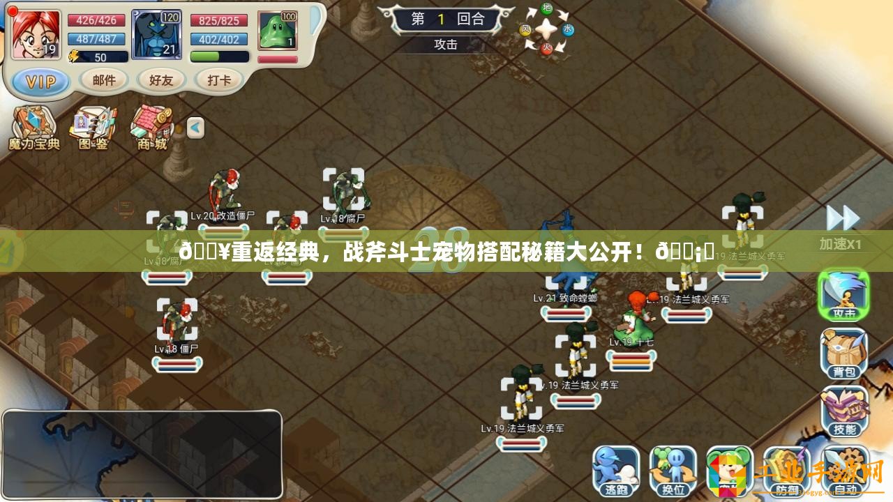 ??重返經(jīng)典，戰(zhàn)斧斗士寵物搭配秘籍大公開！???