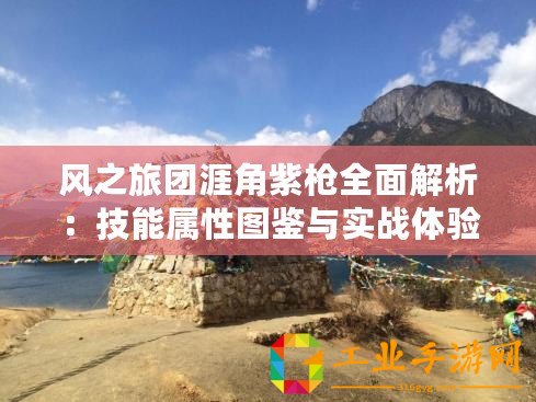 風(fēng)之旅團(tuán)涯角紫槍全面解析：技能屬性圖鑒與實戰(zhàn)體驗之旅