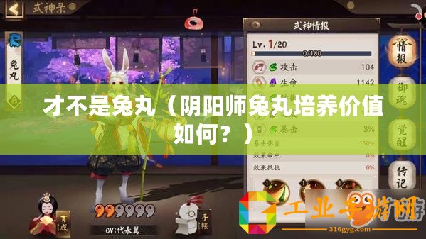 才不是兔丸（陰陽師兔丸培養(yǎng)價值如何？）