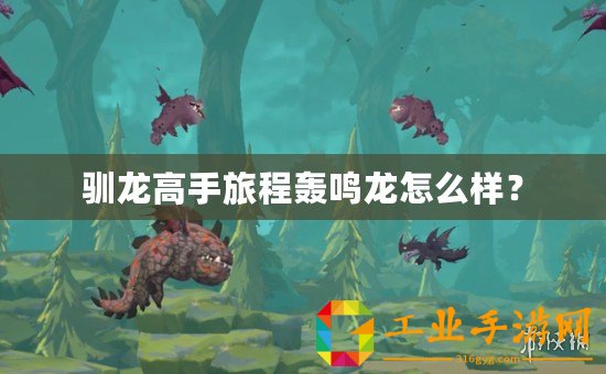 馴龍高手旅程轟鳴龍?jiān)趺礃樱? title=