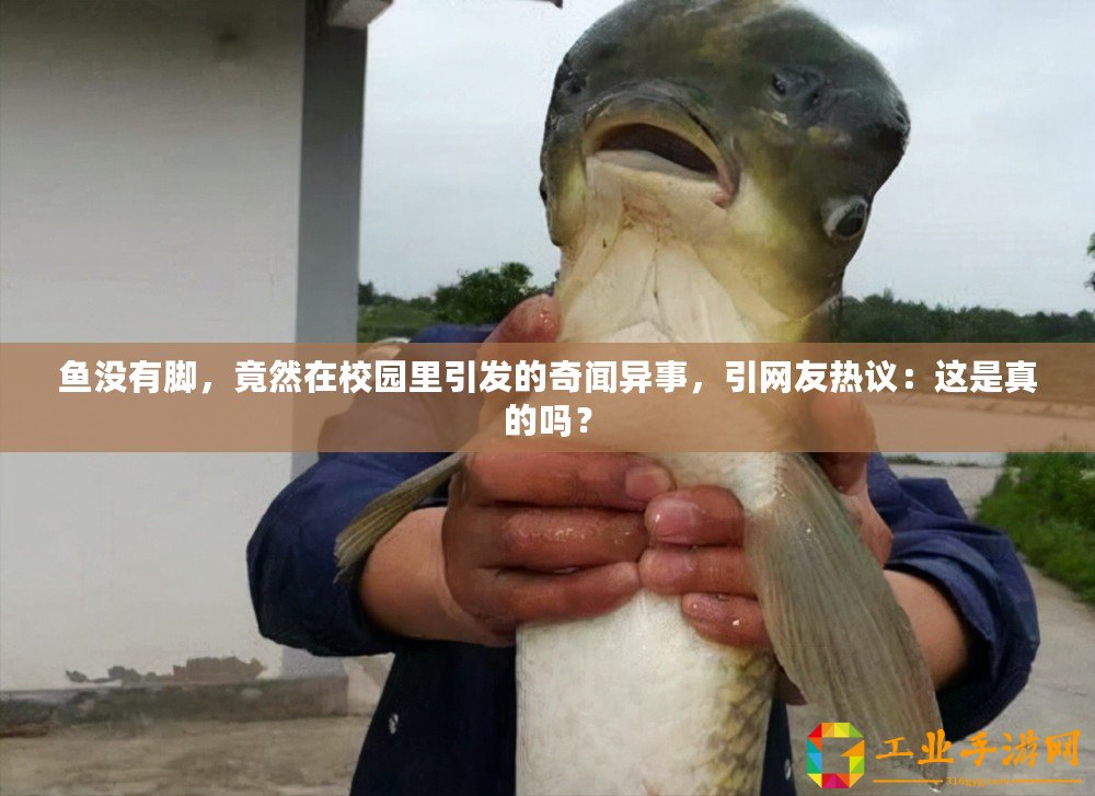 魚沒有腳，竟然在校園里引發(fā)的奇聞異事，引網(wǎng)友熱議：這是真的嗎？