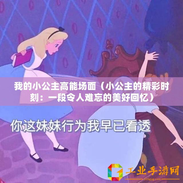 我的小公主高能場(chǎng)面（小公主的精彩時(shí)刻：一段令人難忘的美好回憶）