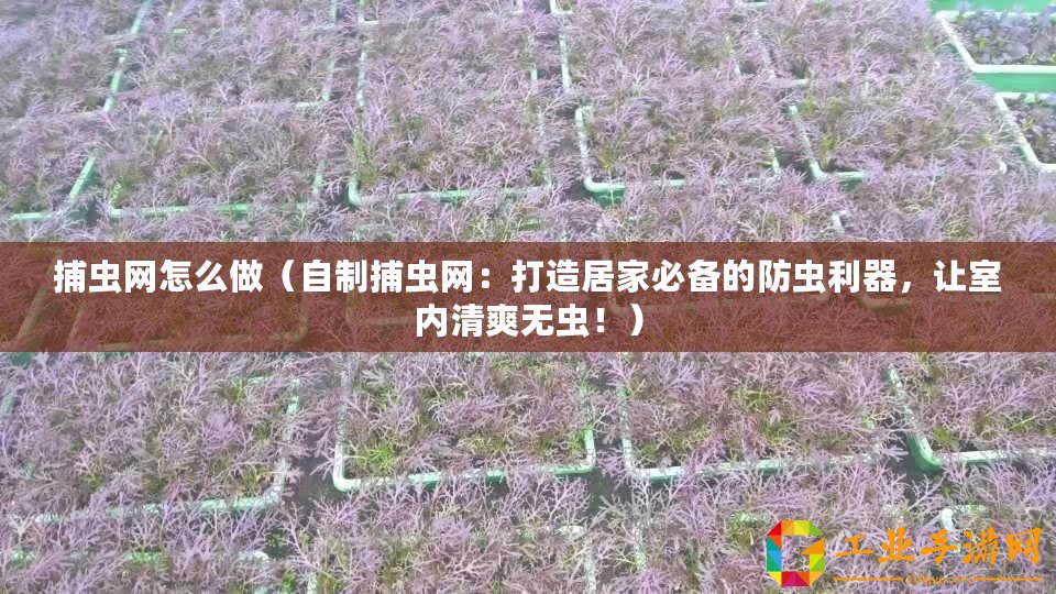 捕蟲網(wǎng)怎么做(自制捕蟲網(wǎng):打造居家必備的防蟲利器,讓室內(nèi)清爽無蟲!) 捕蟲網(wǎng)怎么做(自制捕蟲網(wǎng):打造居家必備的防蟲利器,讓室內(nèi)清爽無蟲!)