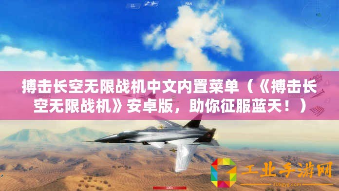 搏擊長空無限戰(zhàn)機中文內(nèi)置菜單（《搏擊長空無限戰(zhàn)機》安卓版，助你征服藍天！）