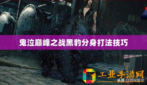 鬼泣巔峰之戰(zhàn)黑豹分身打法技巧