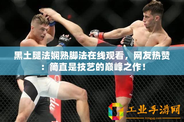 黑土腿法嫻熟腳法在線觀看，網(wǎng)友熱贊：簡直是技藝的巔峰之作！