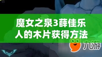 魔女之泉3薛佳樂(lè)人的木片獲得方法：黑暗亡靈怎么打？