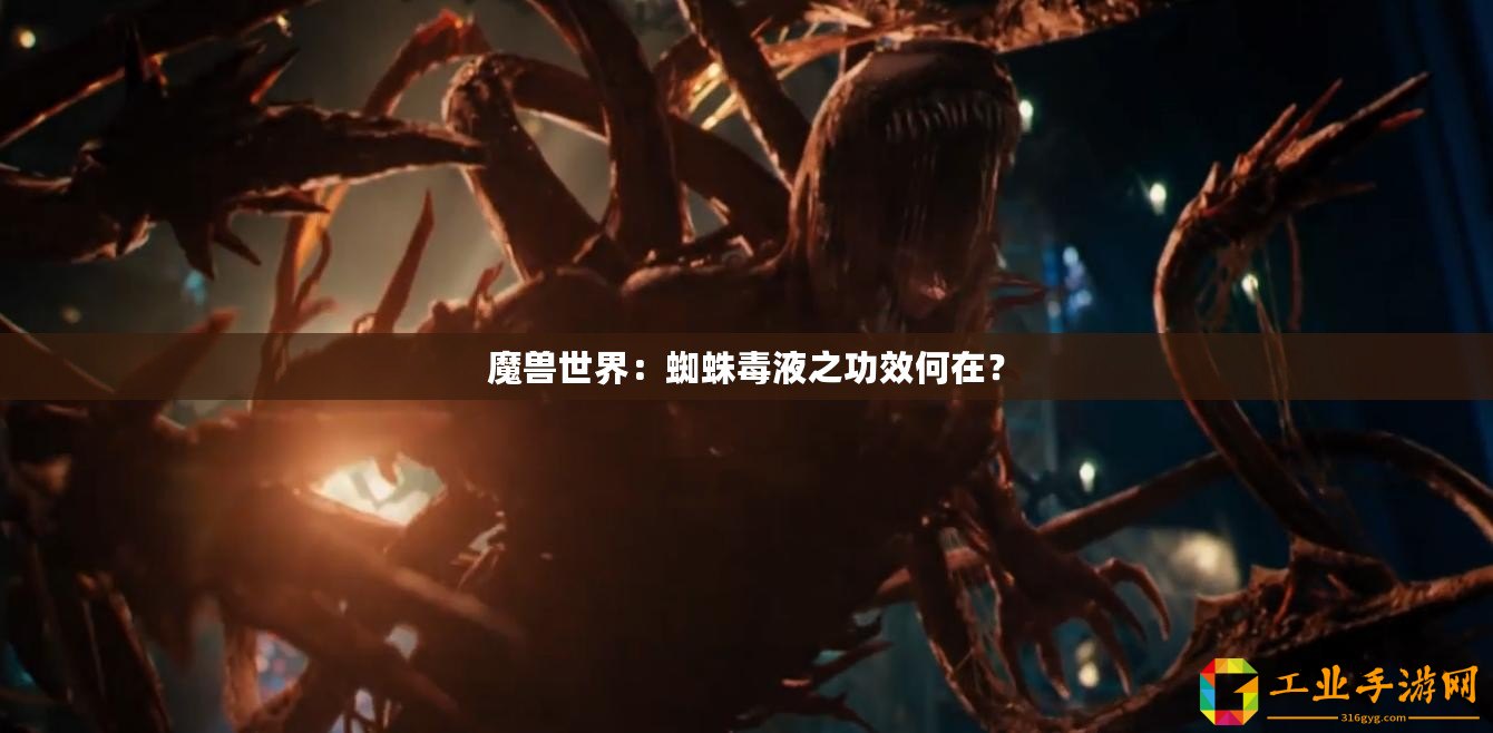 魔獸世界：蜘蛛毒液之功效何在？
