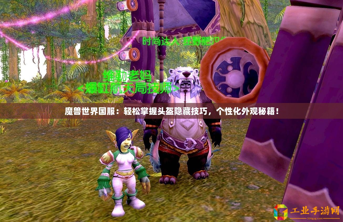 魔獸世界國服：輕松掌握頭盔隱藏技巧，個性化外觀秘籍！