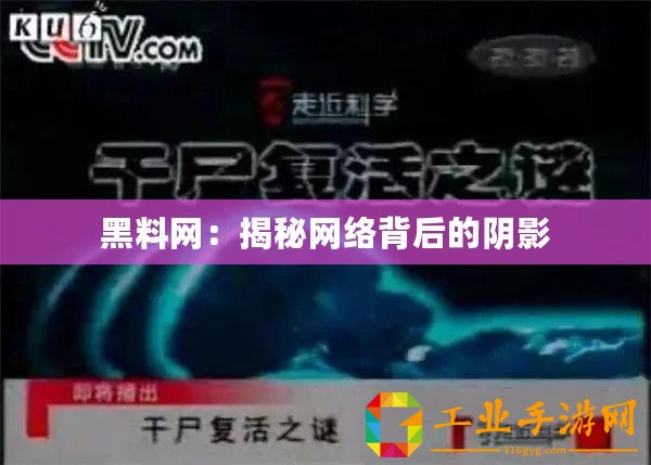 黑料網(wǎng)：揭秘網(wǎng)絡(luò)背后的陰影