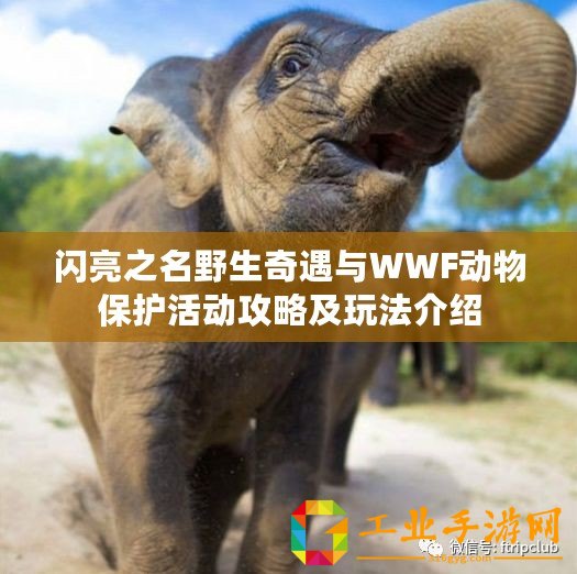 閃亮之名野生奇遇與WWF動物保護(hù)活動攻略及玩法介紹