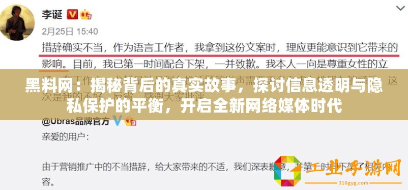 黑料網(wǎng)：揭秘背后的真實(shí)故事，探討信息透明與隱私保護(hù)的平衡，開(kāi)啟全新網(wǎng)絡(luò)媒體時(shí)代