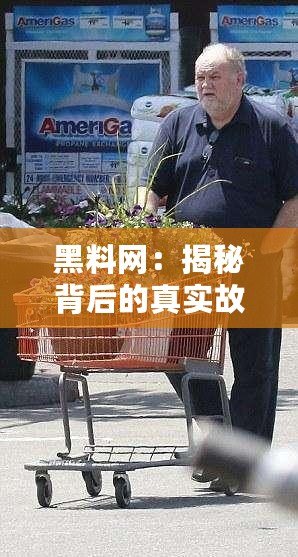 黑料網(wǎng)：揭秘背后的真實(shí)故事，探討信息透明與隱私保護(hù)的平衡，開(kāi)啟全新網(wǎng)絡(luò)媒體時(shí)代